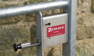 Zedlock