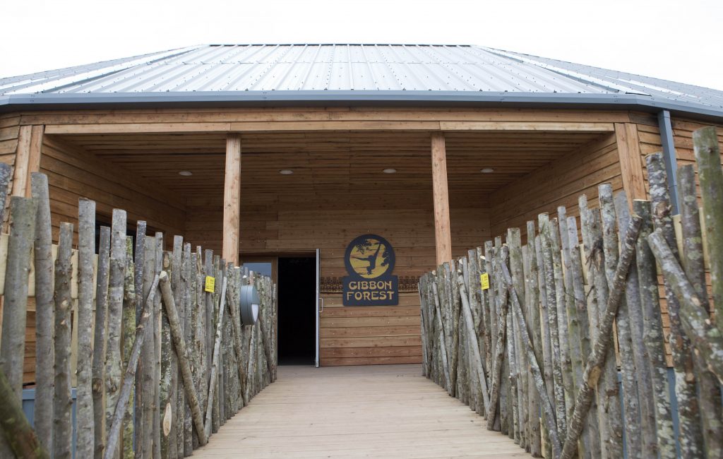 The new Gibbon Forest, at Twycross Zoo will be home to four groups of gibbon: Siamang, Northern White-cheeked Crested gibbon, Agile gibbon and Pileated gibbon. Photographs: Lucy Ray